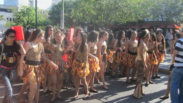 Archivo:Carnaval4.jpg