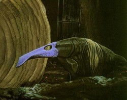 Spade-Nose