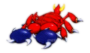 Skorp