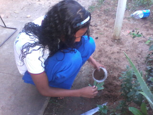 Archivo:IMG00357.jpg