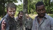 Walking-dead-asco--644x362.jpg