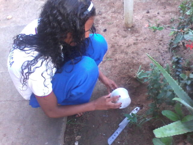 Archivo:IMG00356.jpg