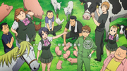 Gin no Saji.png