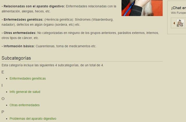 Archivo:Subcategorías.jpg