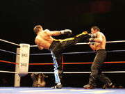 Full Contact.jpg