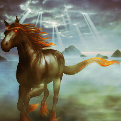 File:Pferd.jpeg