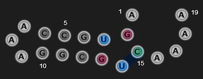 SpecialSeq1