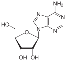 File:220px-Adenosin.png