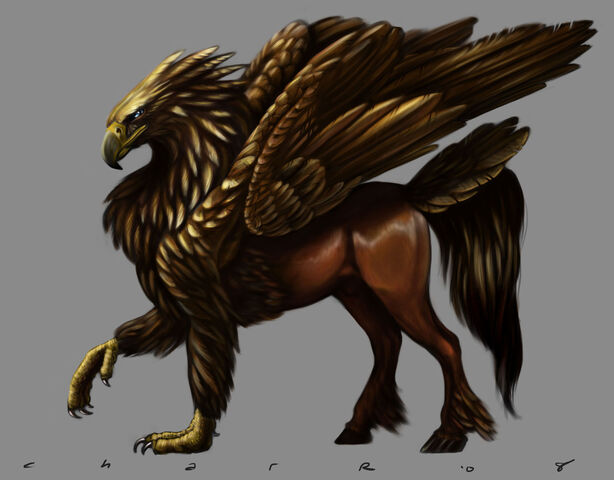 File:8b929389 Hippogryph.jpeg