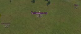 Salamanca