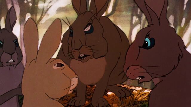 File:Watership1.jpg