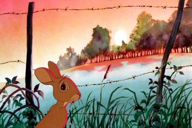 File:Dvd9a.jpg
