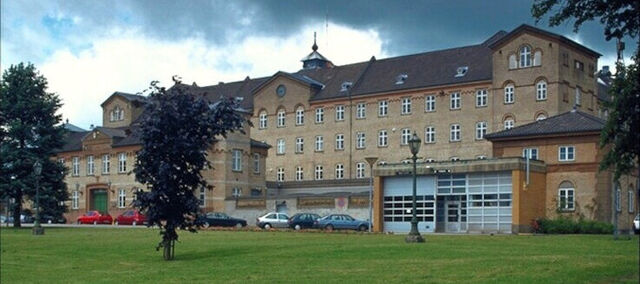 Archivo:Horsesns.jpg