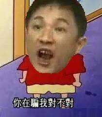 檔案:你在騙我對不對.jpg