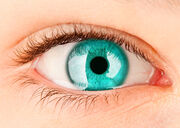 TealEyes