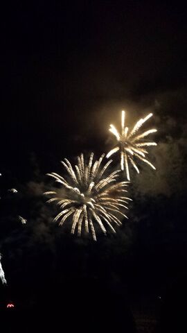 File:20140704 213309.jpg