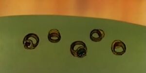 The Rings of Destruction