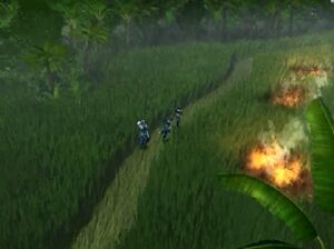 The Timber War