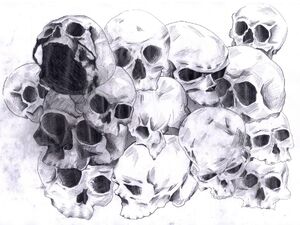 The Skulls