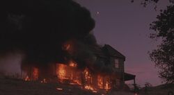 The Burning of Unity Fields