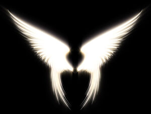 Angel Wings by Iaenic