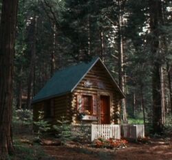 The Harmony Hut