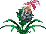 AluraUne CVDOS