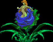 BlueAluraUne CSOTN