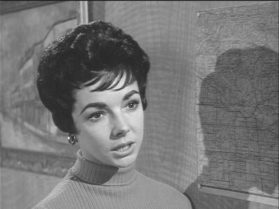 Sue Hammond (Sheila Connolly)