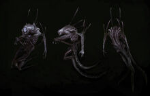 Evolve-wraith-5