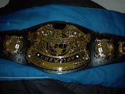 Ex-Rev World Title