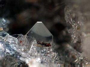 Forsterite