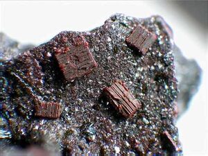 Fayalite