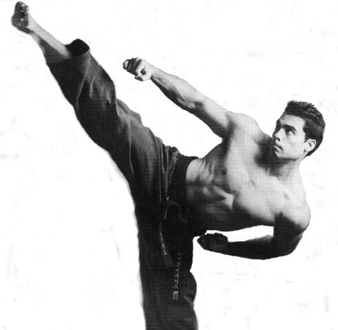 File:Daniel Arrias karate d.jpg