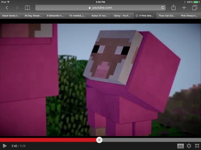 File:Pinksheepsbaby.jpg