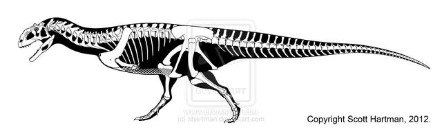 File:Majungasaurus - 2(Skeletal(Scott Hartman)).jpg