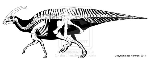 File:Parasaurolophus - 1(P. walkeri).jpg