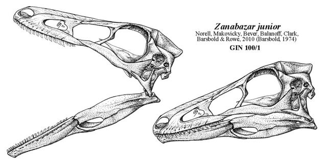 File:Zanabazar - 1(Skull sketch).jpg