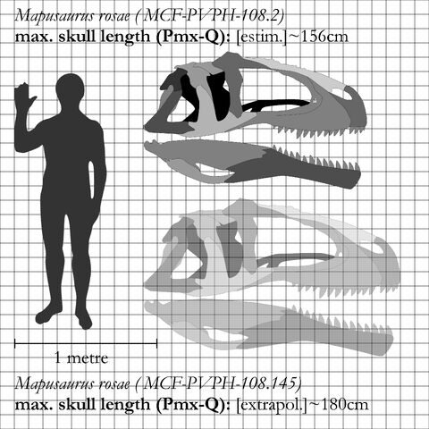 File:Mapusaurus - 2(Comparison).jpg