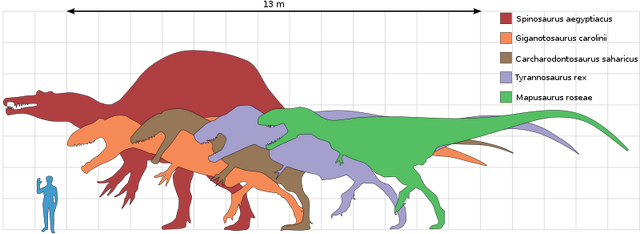 File:800px-Largesttheropods svg.png