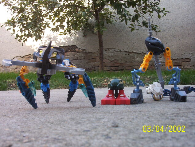 File:4 Rahi's.jpg