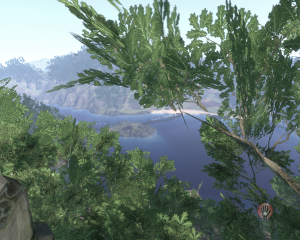File:Driftwood 4.png