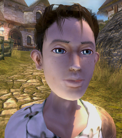 Archivo:Héroe de Oakvale.png