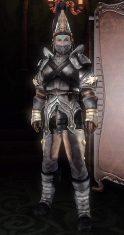 File:Zw-Women's Warrior Suit.png