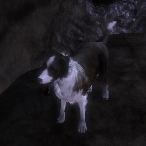 File:Fable3.dog.morph.good.jpg