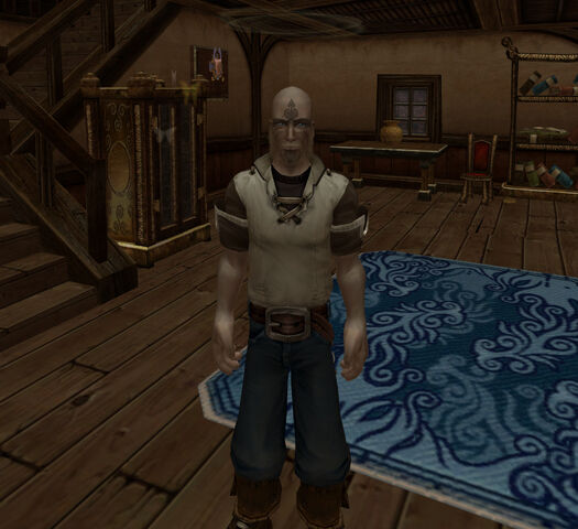 File:Fable hero.jpg