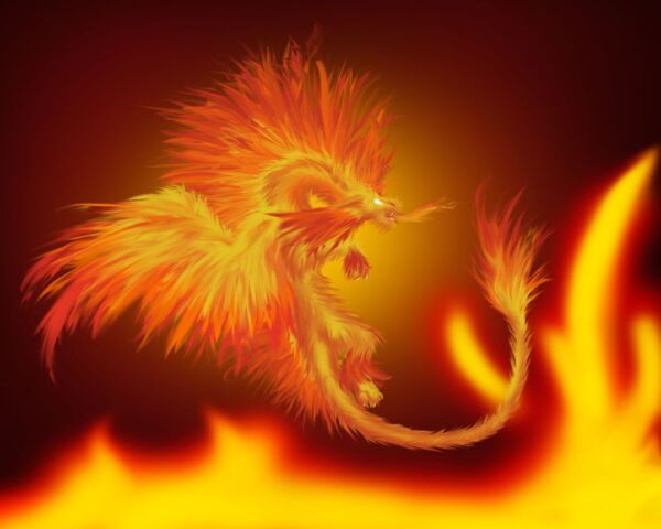 File:Firedrake copy-1-.jpg