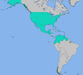 RedStarWhiteStarTurn14CFTUMap