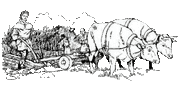 Medieval Plough -1