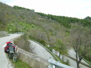 Italien serpentinen dalli